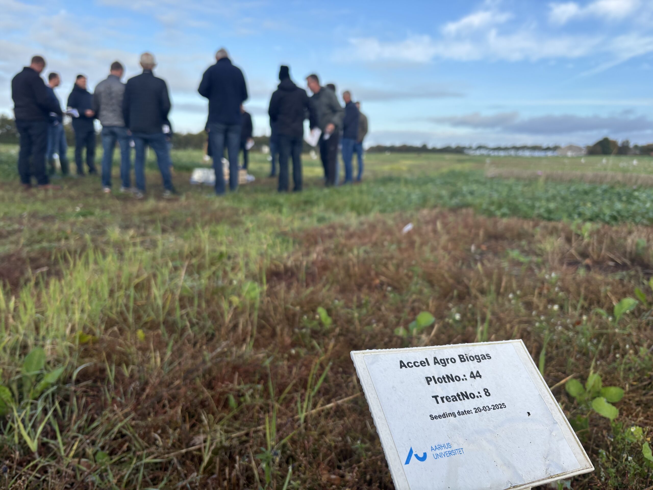 Living Lab om biomasse til biogas hos Madsen Bioenergi I/S