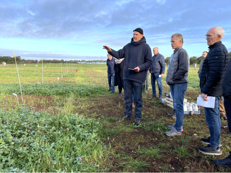 Fra mark til biogas: Aarhus Universitet undersøger potentialet i landbrugets biomasser